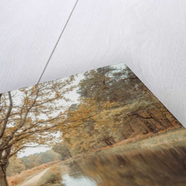 Canal through forest by Assaf Frank